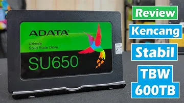Review SSD ADATA SU650 Harga Terjangkau Dengan Kualitas Bagus & TBW Tinggi