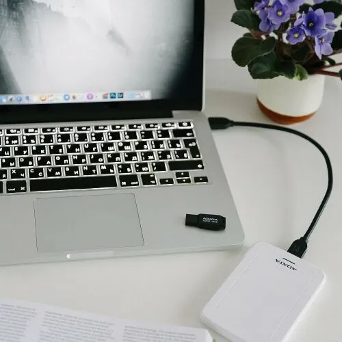 ADATA HV300 1TB (белый)-3