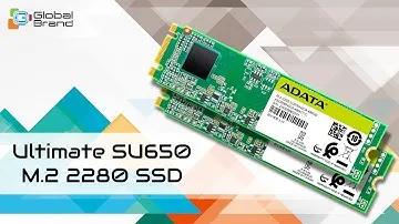 ADATA Ultimate SU650 M.2 2280 240GB SSD | Global Brand Pvt Ltd