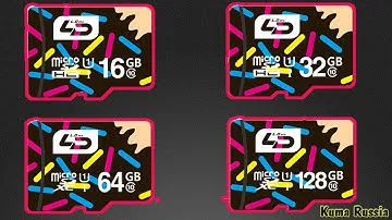 LD Micro SD Карта памяти (16 Gb Class 10)
