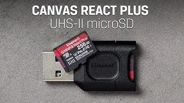 Canvas React Plus microSD: карта класса 10 — UHS-II, U3, V90, A1